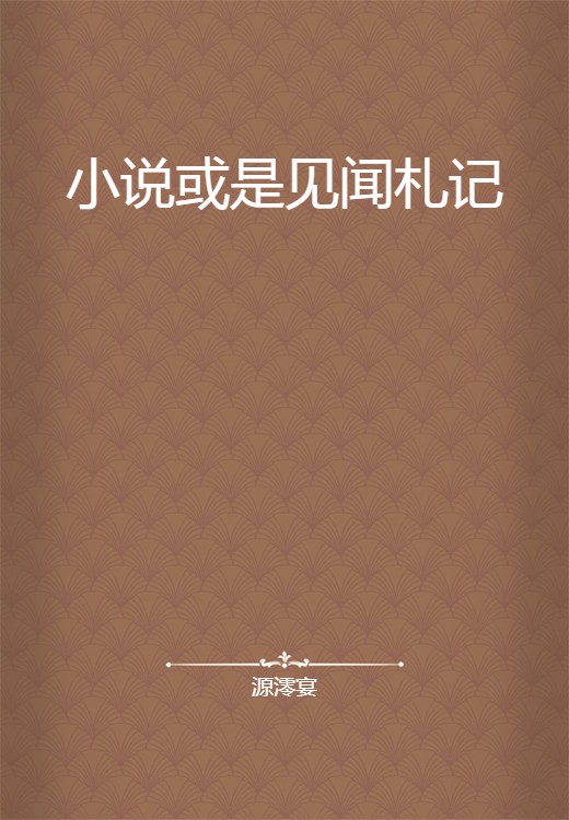 小说或是见闻札记