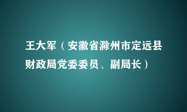 王大军（安徽省滁州市定远县财政局党委委员、副局长）