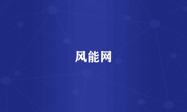 风能网