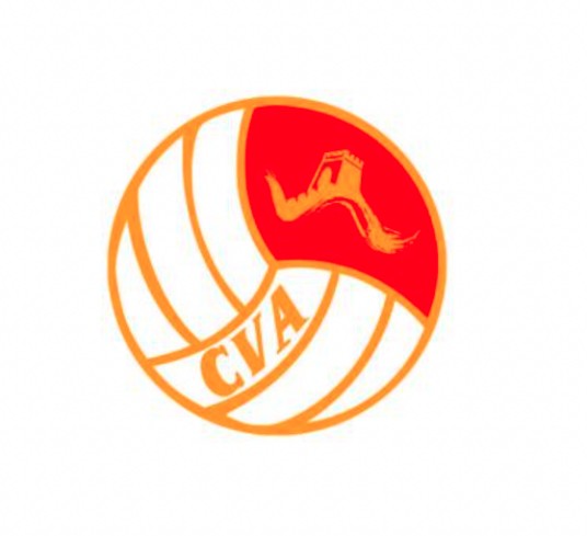 中国排球协会
