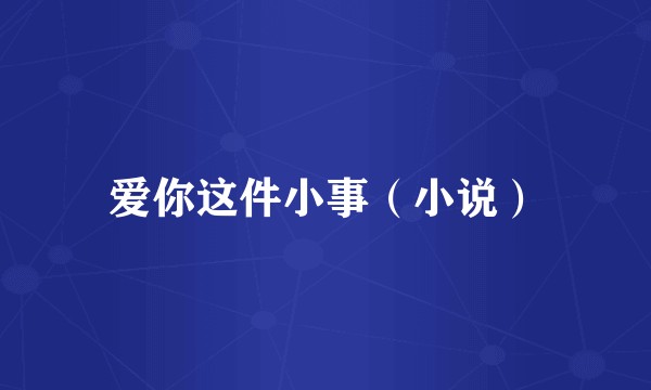 爱你这件小事（小说）