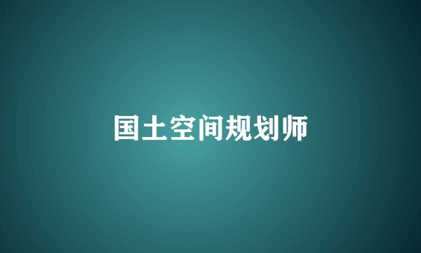 国土空间规划师
