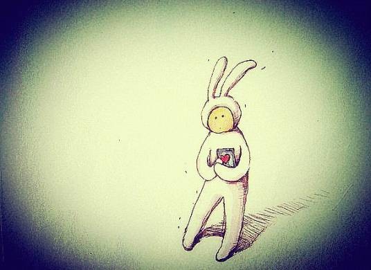不二兔