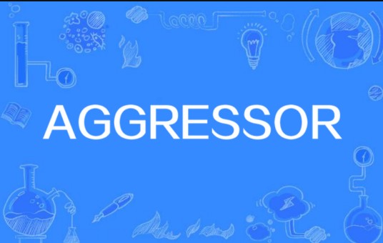 AGGRESSOR