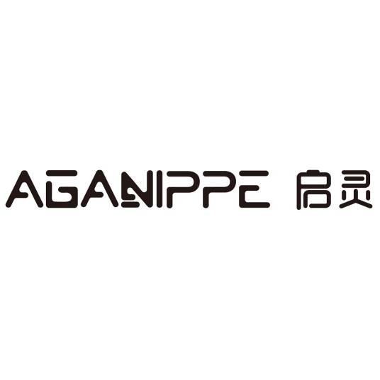 AGANIPPE启灵