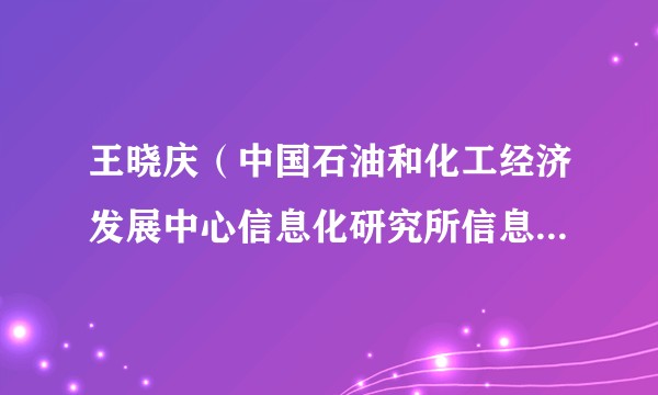 王晓庆(中国石油和化工经济发展中心信息化研究所信息化专家委员会委员)