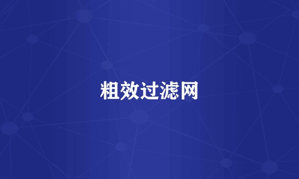 粗效过滤网