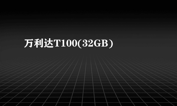 万利达T100(32GB)