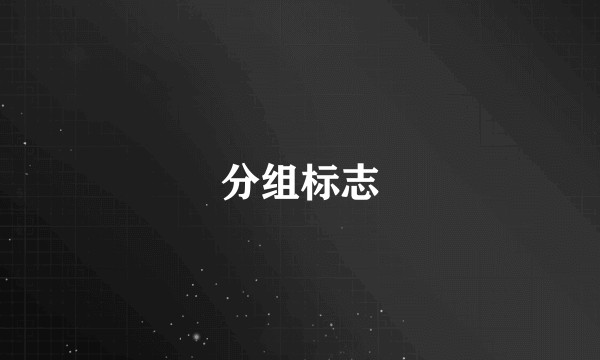 分组标志