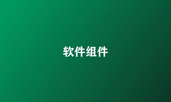 软件组件