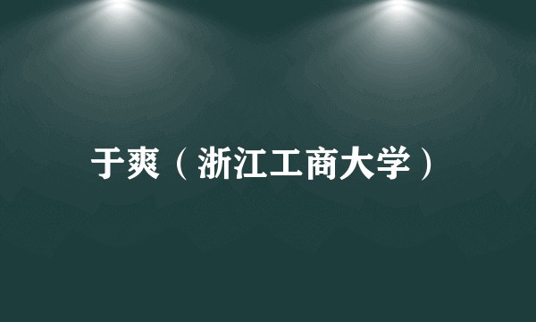 于爽（浙江工商大学）
