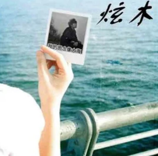 你不配（炫木演唱歌曲）