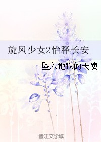 旋风少女2怡释长安