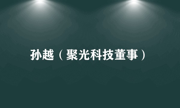 孙越（聚光科技董事）