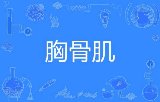 胸骨肌