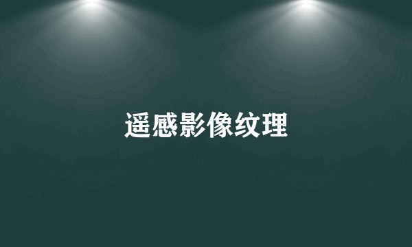 遥感影像纹理