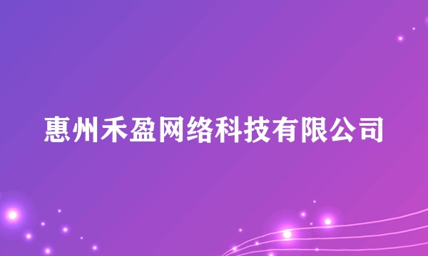 惠州禾盈网络科技有限公司