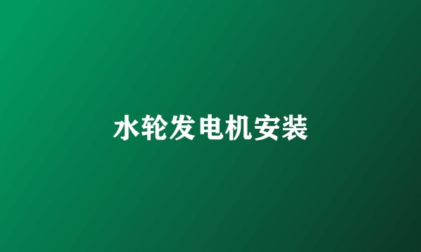 水轮发电机安装