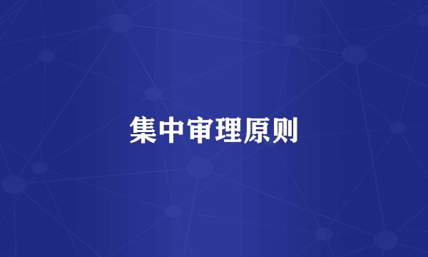 集中审理原则