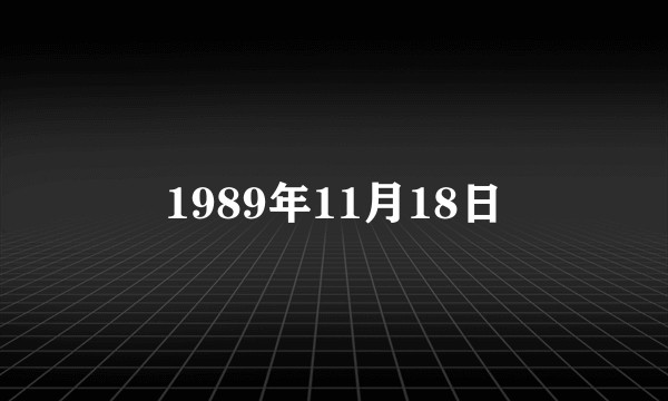 1989年11月18日