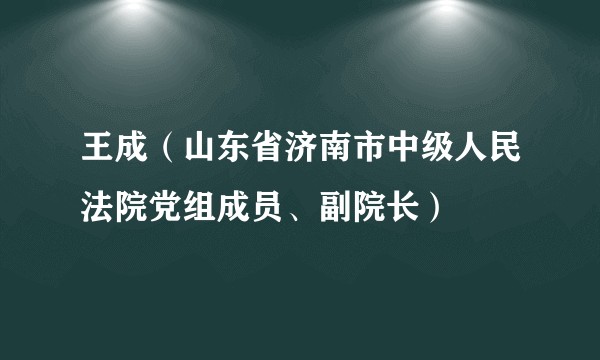 王成(山东省济南市中级人民法院党组成员、副院长)