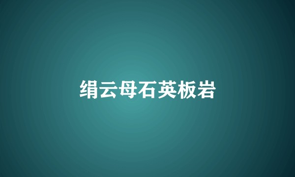 绢云母石英板岩