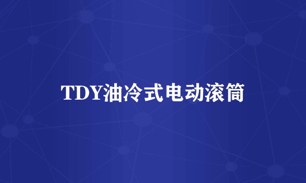 TDY油冷式电动滚筒