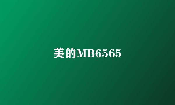 美的MB6565