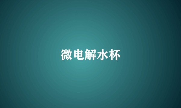 微电解水杯