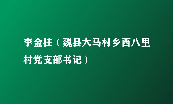 李金柱（魏县大马村乡西八里村党支部书记）