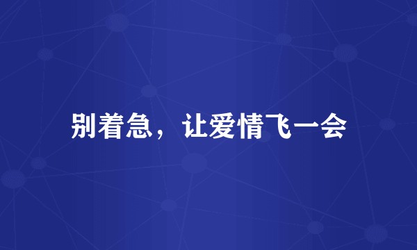 别着急，让爱情飞一会