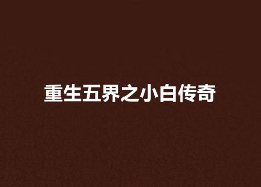 重生五界之小白传奇