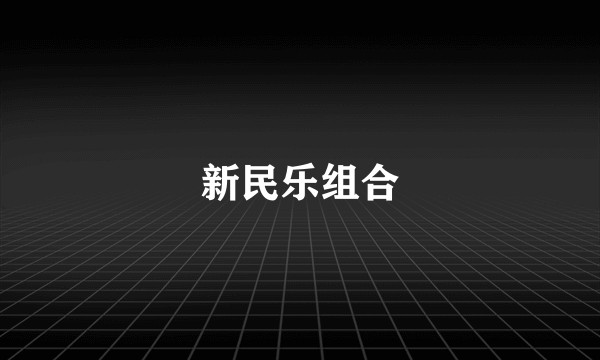 新民乐组合