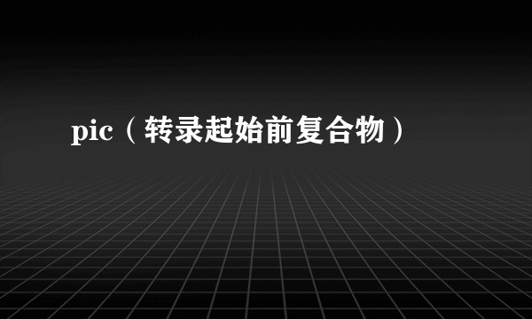pic（转录起始前复合物）