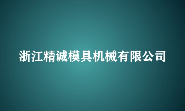 浙江精诚模具机械有限公司
