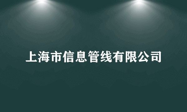 上海市信息管线有限公司