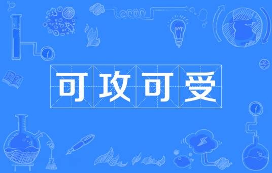 可攻可受（网络流行词）