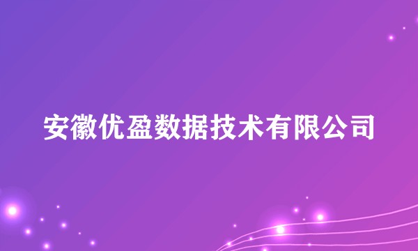 安徽优盈数据技术有限公司
