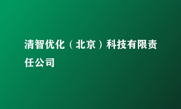 清智优化（北京）科技有限责任公司