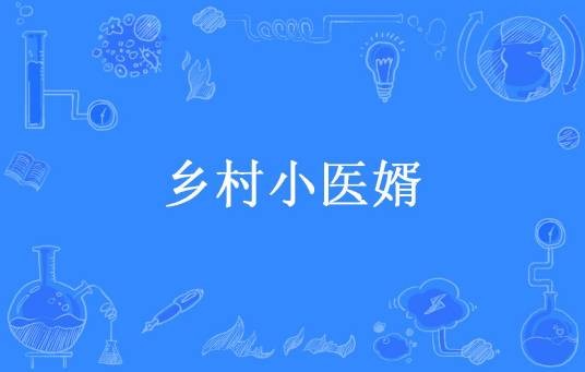 乡村小医婿