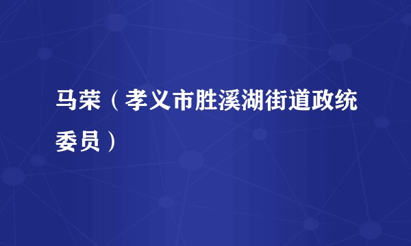 马荣（孝义市胜溪湖街道政统委员）