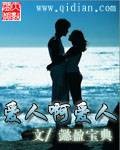 爱人啊爱人（懿盈宝典创作的网络小说）