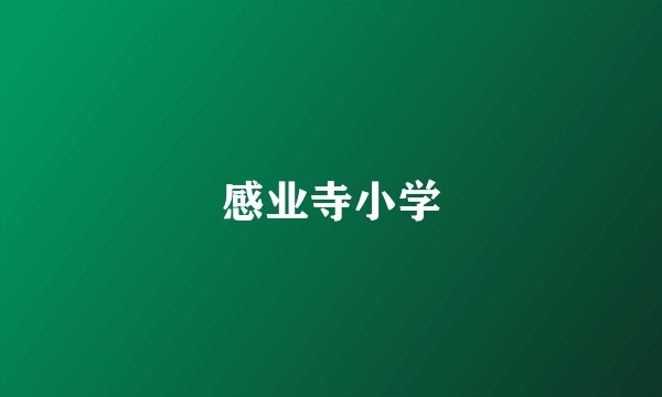 感业寺小学