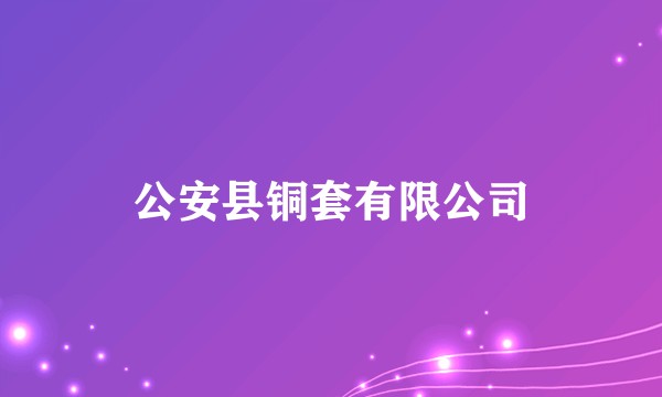 公安县铜套有限公司
