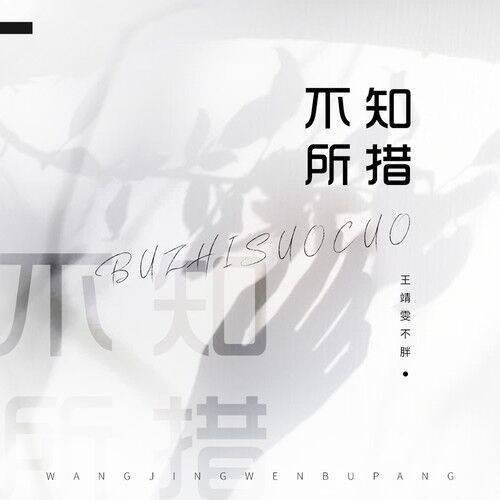 不知所措（2020年王靖雯不胖演唱的歌曲）