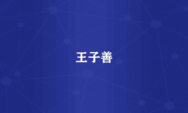 王子善