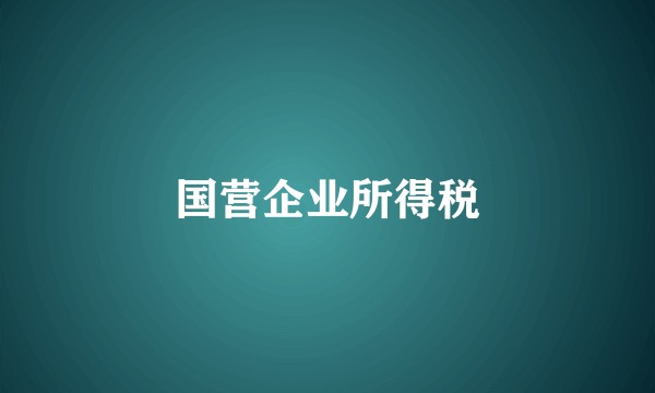 国营企业所得税