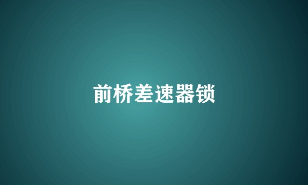 前桥差速器锁