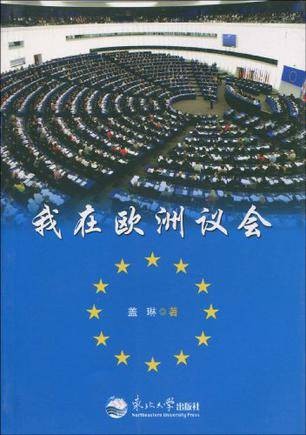 我在欧洲议会