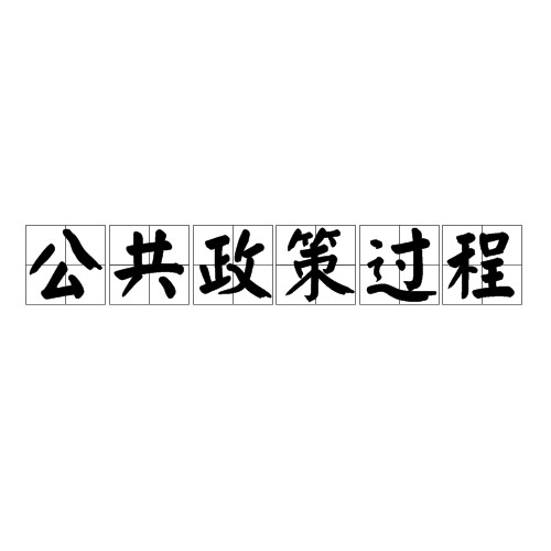 公共政策过程